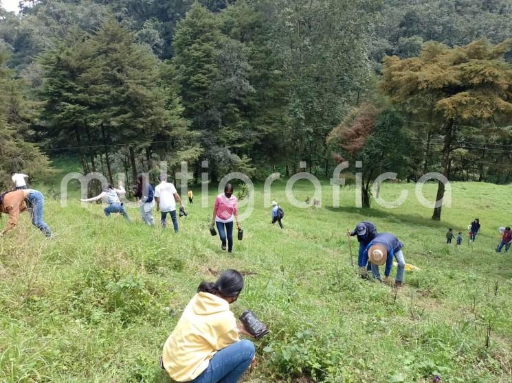 Alumnos de la paraescolar de Técnico Agropecuario del COABAEV 28 de Tlapacoyan, Ver. se sumaron a las campañas de reforestación, con la siembra de árboles, principalmente pinos, en el municipio de Altotonga.