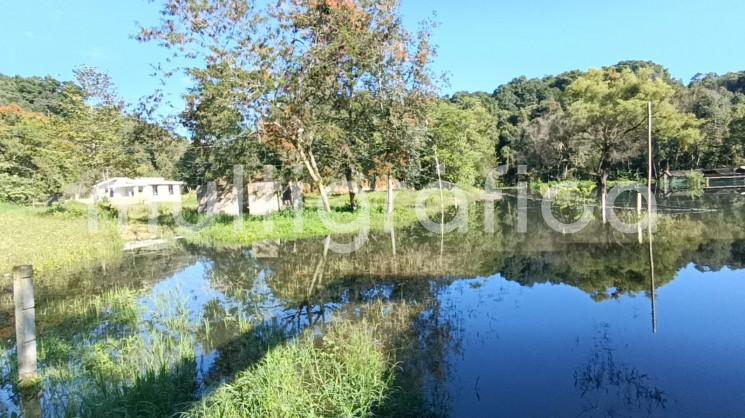 Cinco propiedades en el ejido Benito Juárez de la ciudad de Xalapa están afectadas por aguas pluviales del arroyo que proviene del Jardín Botánico, por lo que piden ayuda a las autoridades municipales.