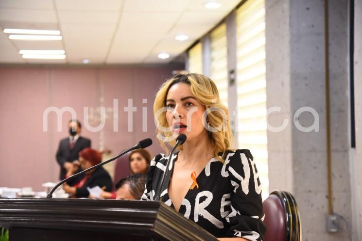 La diputada Maribel Ramírez Topete presentó una iniciativa con la finalidad de elevar los estándares de elegibilidad para puestos del servicio público estatal y municipal, haciendo prevalecer la protección de las mujeres ante cualquier tipo y modalidad de violencia hacia ellas.