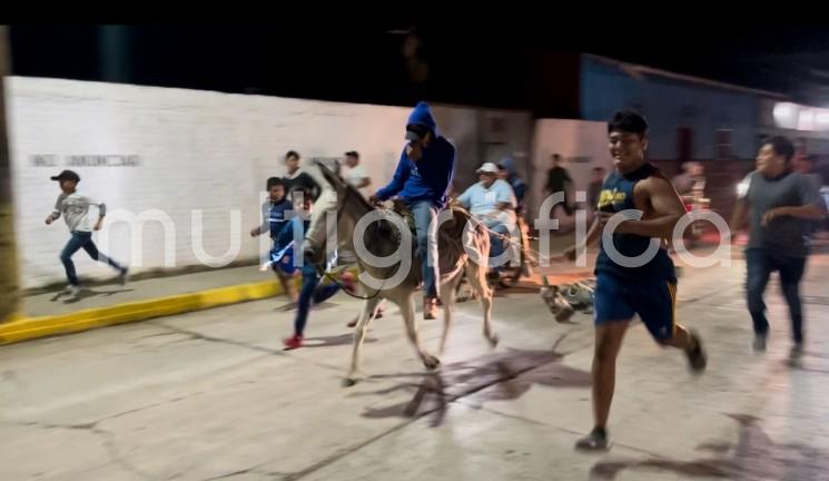 La madrugada de este 4 de Octubre, festividad de San Francisco de Asís, se realizó en Actopan, Ver., localidad en donde tienen a este santo como patrono, la Corrida de Burritos, donde estos animales son corridos por las calles para invitar a las personas a acudir a la iglesia a cantar las mañanitas a San Francisco. 