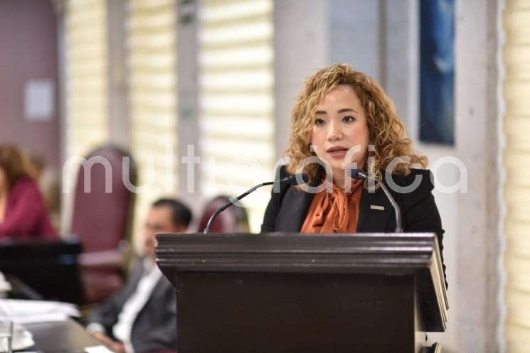 La diputada Itzel López López se congratuló con la decisión del gobernador, ingeniero Cuitláhuac García Jiménez, de instruir una serie de trabajos para revisar posibles alternativas que contribuyan a reducir el tiempo de paso y la movilidad de vehículos en la caseta de Fortín.