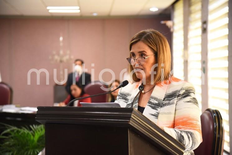 La presidenta de la Mesa Directiva de la LXVI Legislatura, diputada Cecilia Guevara, presentó a la Diputación Permanente una iniciativa que adiciona la fracción Sexta Bis al Artículo 39 de la Ley Orgánica del Poder Legislativo para crear la Comisión Permanente de Combate a la Corrupción.