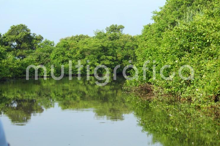 .- La ciudadanía ahora tiene la gran oportunidad de vivir la experiencia de visitar y concientizarse sobre la gran función del Área Natural Protegida (ANP) Estatal Arroyo Moreno, gracias a los trayectos en lancha gratuitos que implementa la Secretaría de Medio Ambiente (SEDEMA).

 