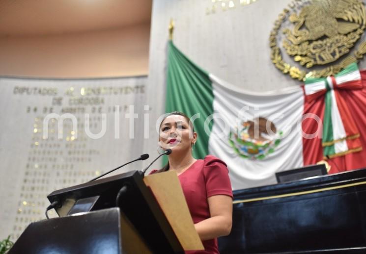 El parentesco de afinidad sería redefinido como el que se contrae por el matrimonio o concubinato, entre la o el cónyuge o la y el concubino y los parientes del otro cónyuge o concubino, según la propuesta de la diputada Perla Eufemia Romero Rodríguez. 