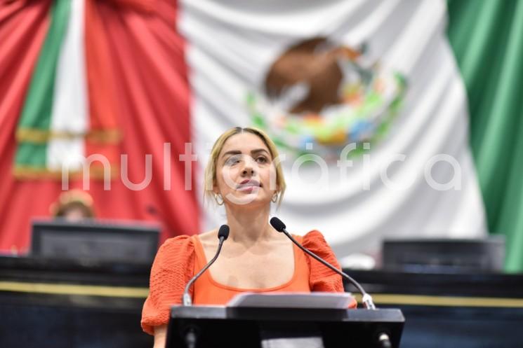 La diputada Maribel Ramírez Topete presentó al Pleno del Congreso del Estado una iniciativa que reformaría el Artículo 53 de la Ley Estatal del Servicio Civil de Veracruz, que tiene por objeto establecer que las personas que tengan más de seis meses de trabajo ininterrumpidos al servicio de la misma entidad pública disfrutarán de dos periodos anuales de vacaciones, con goce de sueldo, que no podrán ser interiores a 15 días continuos cada uno.

