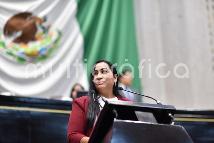 Durante la Cuarta Sesión Ordinaria del Segundo año de Ejercicio Constitucional, la diputada Janix Liliana Castro Muñoz presentó una iniciativa de decreto que reforma la Ley de Turismo del Estado de Veracruz para que sea atribución de la Secretaría de Turismo y Cultura (Sectur) crear la marca turística de la entidad.