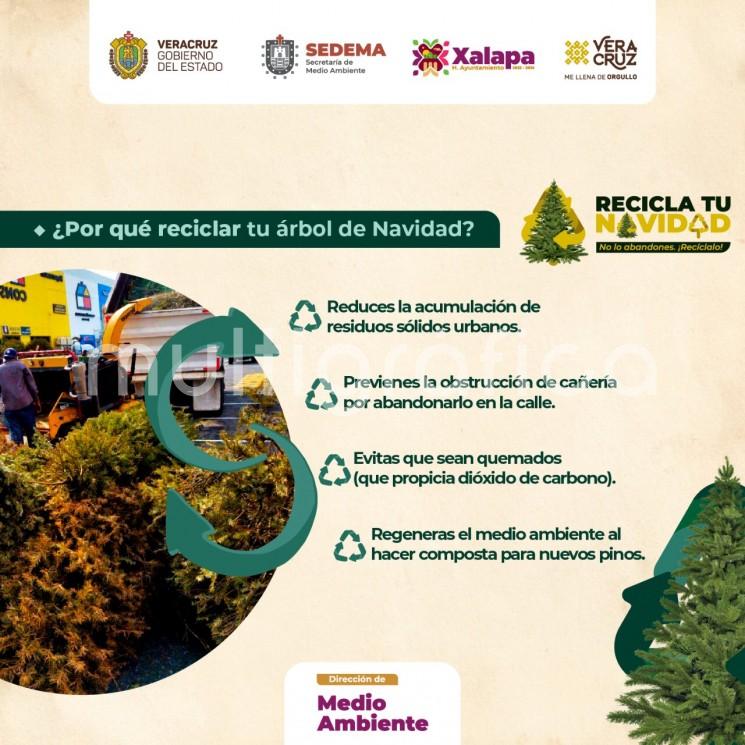 Para fomentar la cultura de la conservación del entorno, el Ayuntamiento, a través de la Dirección de Medio Ambiente, invita a la ciudadanía a participar en la campaña Recicla tu Navidad, a partir del 6 de enero de 2023.