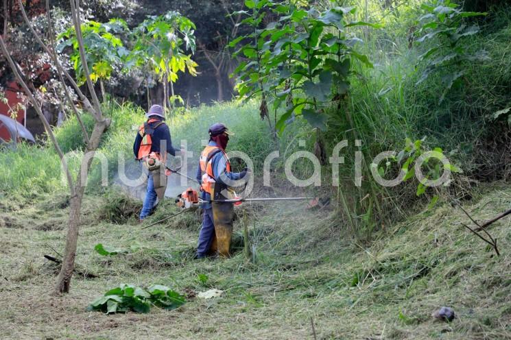 Como cada sábado y para seguir con las actividades de recuperación de espacios de convivencia familiar, se desarrolló una jornada comunitaria en el área verde de las calles Lagos de Iguazú y Montes Himalaya, en la colonia Casa Blanca. 

