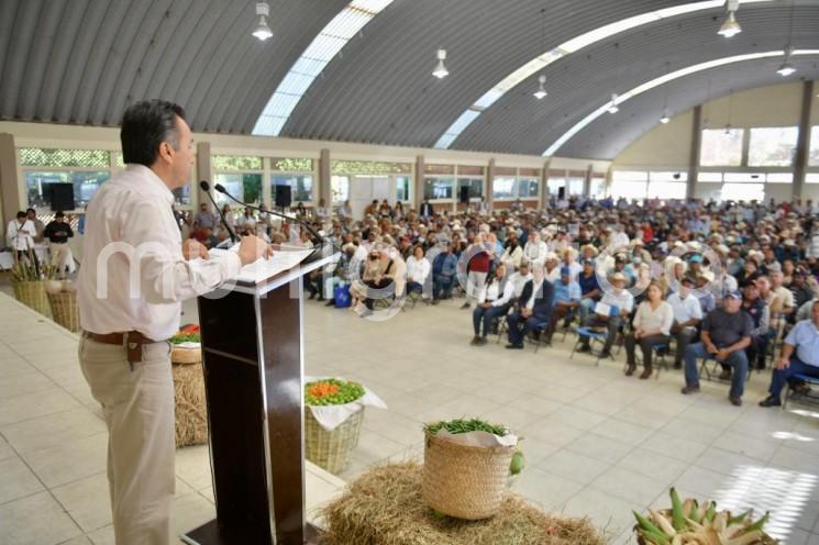 Tenemos que levantar la producción, tenemos que sembrar y elevar al campesino de Veracruz al nivel que le corresponde, destacó el gobernador Cuitláhuac García Jiménez durante la entrega de tarjetas a los 840 beneficiarios de Producción para el Bienestar en Manlio Fabio Altamirano, Ver..