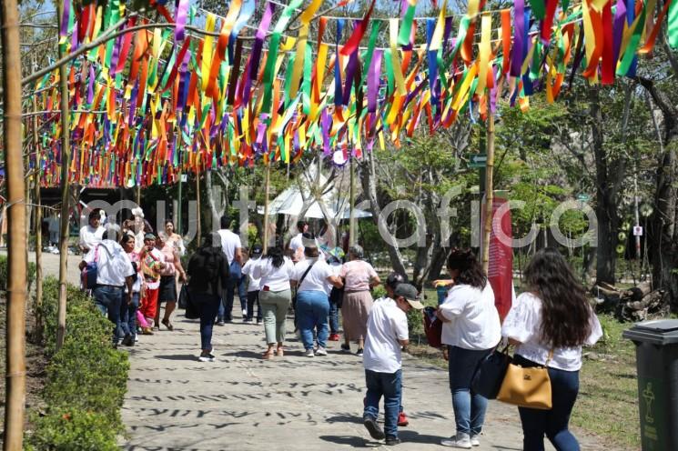 Con la llegada de la primavera, cuando el día y la noche duran exactamente lo mismo, se abrieron las puertas del Parque Takilhsukut para cientos de locales, nacionales y extranjeros que arribaron a iniciar un recorrido de aprendizaje en las 13 casas-escuela del Centro de las Artes Indígenas, así como a recargar energía en la zona arqueológica El Tajín. 