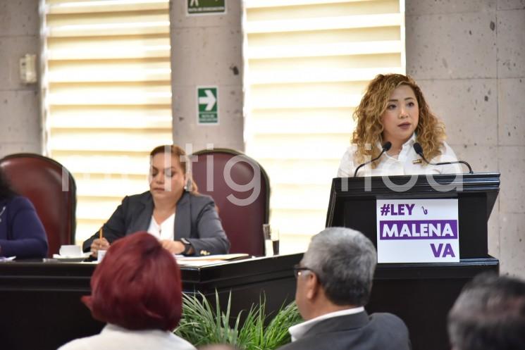 La diputada Itzel López López presentó una iniciativa de decreto que reformaría y adicionaría diversas disposiciones a la Ley de Acceso de las Mujeres a una Vida Libre de Violencia y al Código Penal, ambos del estado de Veracruz, con la finalidad de definir en la legislación la denominada Violencia Ácida, por razón de género contra la mujer, y establecer las penas a que se harían acreedores quienes cometan este delito.