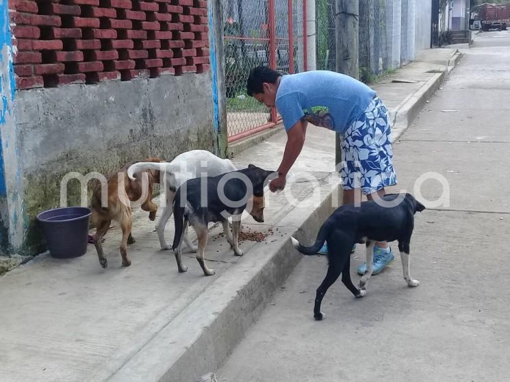 El viernes 15 de abril inicia la Semana Nacional de reforzamiento de vacunación antirrábica canina y felina. En Tlapacoyan se aplicará en Centros de Salud y puestos de vacunación itinerantes en todo el municipio.  

