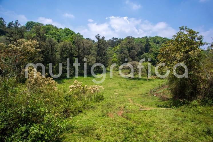 Con el propósito de brindar a la ciudad y a la comunidad un nuevo pulmón natural, proteger el patrimonio ambiental de Xalapa y consolidar a la ciudad como un municipio verde, el presidente municipal Ricardo Ahued Bardahuil presentó a integrantes del Cabildo el predio de casi 60 mil metros cuadrados que recientemente adquirió el Ayuntamiento para conservar como área natural.