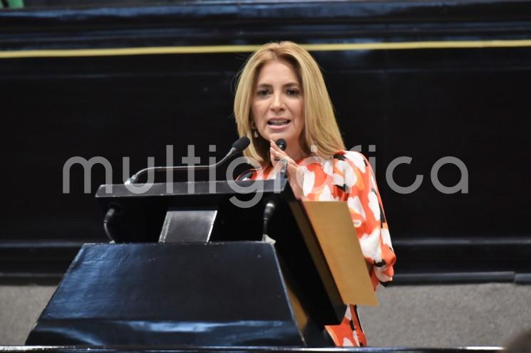 La diputada Ana Miriam Ferráez Centeno presentó al Pleno de la LXVI Legislatura la iniciativa que prevé modificar los Códigos Civil y Penal del estado para incorporarles la hipótesis del delito de feminicidio en lo concerniente a las niñas y adolescentes y, en consecuencia, sancionar severamente a quien por razones de género le prive de la vida.