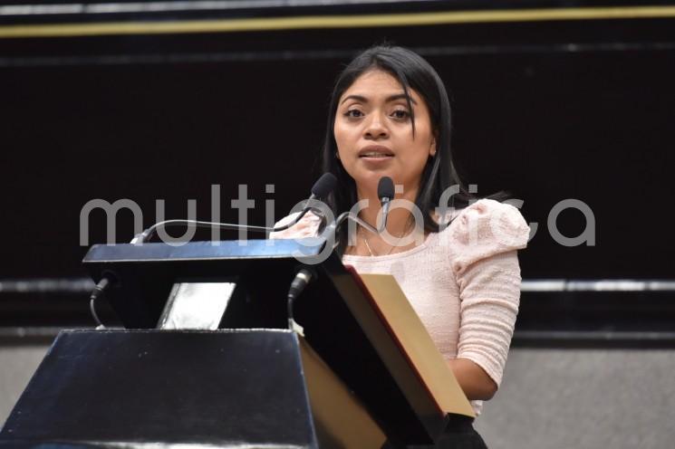 Para proteger a la población y al medio ambiente de los efectos de la utilización de la pirotecnia, la diputada Elizabeth Cervantes de la Cruz presentó una Iniciativa para actualizar la Ley Estatal de Protección Ambiental.