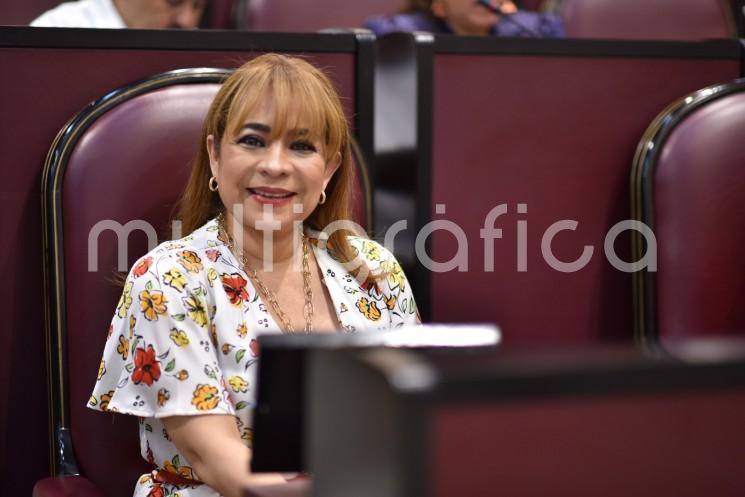 La diputada Citlali Medellín Careaga presentó al Pleno la iniciativa que tiene como finalidad que en cada municipio sea creada la Dirección Municipal de Desarrollo Urbano, como órgano administrativo en el gobierno local dedicado al estudio, planeación y ejecución de políticas públicas en materia de urbanización, ordenamiento territorial y desarrollo urbano de las ciudades y los centros de población.

