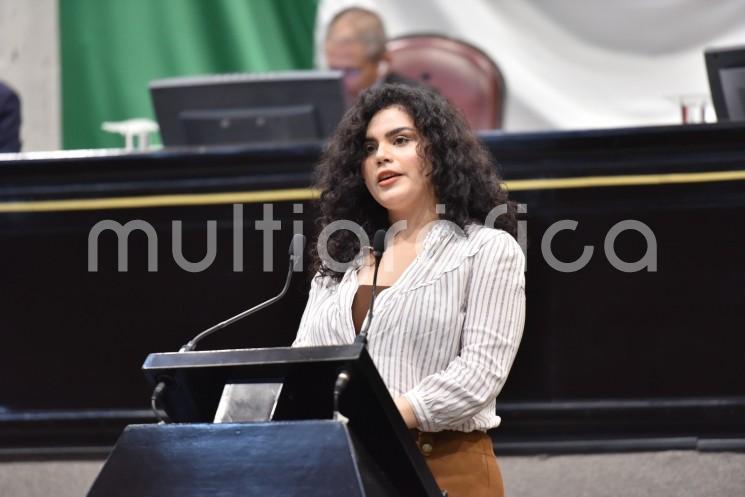 , la diputada Itzel Yescas Valdivia, en coautoría con el legislador Enrique Cambranis Torres, presentó al Pleno una iniciativa de decreto que reforma, deroga y adiciona diversas disposiciones de la Ley Orgánica del Poder Judicial estatal para crear un Portal de Servicios en Línea, perteneciente al Sistema Electrónico del citado ente, que permita la depuración del rezago de impartición de justicia.