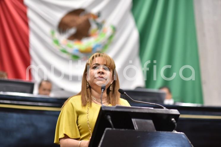 La diputada Citlali Medellín Careaga propuso reformas a distintos ordenamientos estatales a fin de evitar el incremento de la pérdida de fauna silvestre en las carreteras de la entidad.