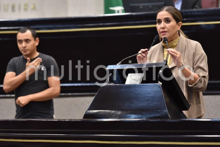 Durante la Quinta Sesión Ordinaria del Segundo Período Ordinario del Segundo Año de Ejercicio Constitucional, en nombre de su homóloga Ana Miriam Ferráez Centeno y del legislador Gonzalo Durán Chincoya, con quienes comparte la coautoría de la propuesta, la diputada Anilú Ingram Vallines hizo uso de la tribuna para exponer las motivaciones del proyecto legislativo.