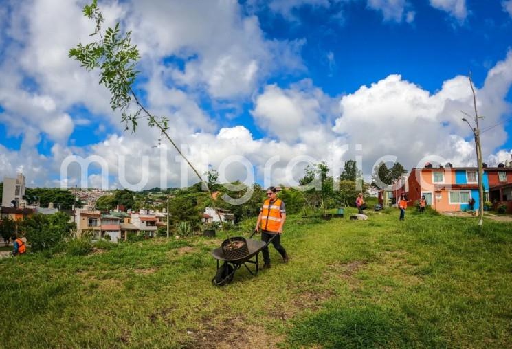 Con el fin de brindar mantenimiento y conservar y rescatar los espacios públicos del municipio, este sábado personal de la Dirección de Medio Ambiente, con apoyo de vecinas y vecinos, realizó una Jornada comunitaria en diversas áreas verdes de las colonia El Sumidero, Homex-Santa Fe y el fraccionamiento Las Fuentes.