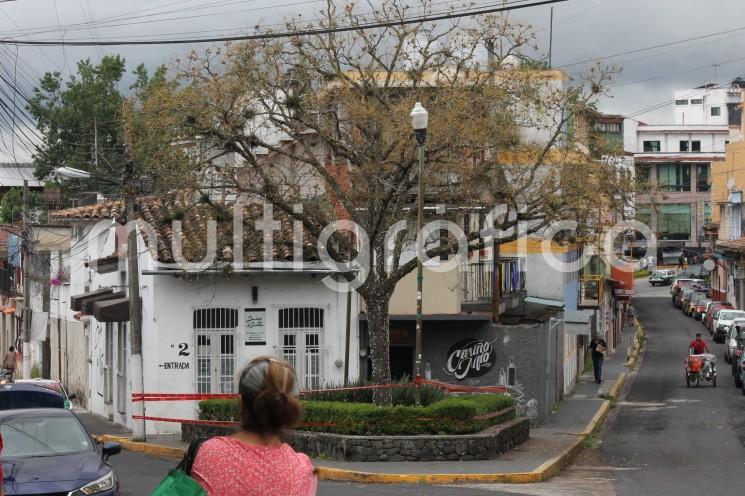 Este jueves, ante la llamada de auxilio de vecinos de la zona, personal de Medio Ambiente acordonó el área verde de la cuchilla que forman las calles Zamora y Santos Degollado, debido a la infestación de un árbol de nogal por gusanos conocidos como borreguillas.