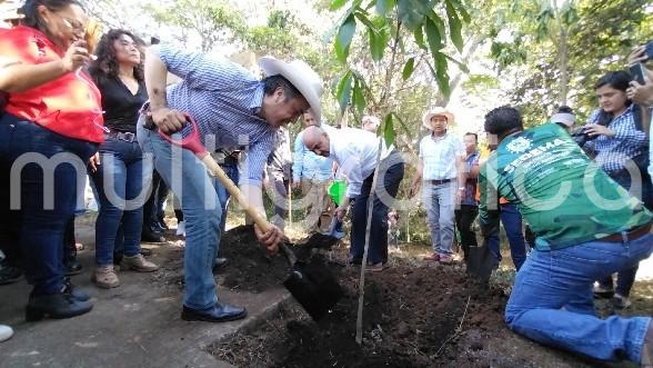 Con 11 mil 500 árboles sembrados y un nuevo patrimonio de 120 mil metros cuadrados de área natural, el Ayuntamiento cumple más allá de lo requerido en materia de remediación ambiental en favor del desarrollo de la ciudad, afirmó el presidente municipal Ricardo Ahued Bardahuil.

