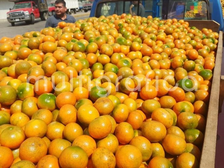 Productores de cítricos de la región de Tlapacoyan mantienen altas expectativas durante la presente temporada, ya que sus productos están alcanzando un precio que les permitirá obtener buenas ganancias. 