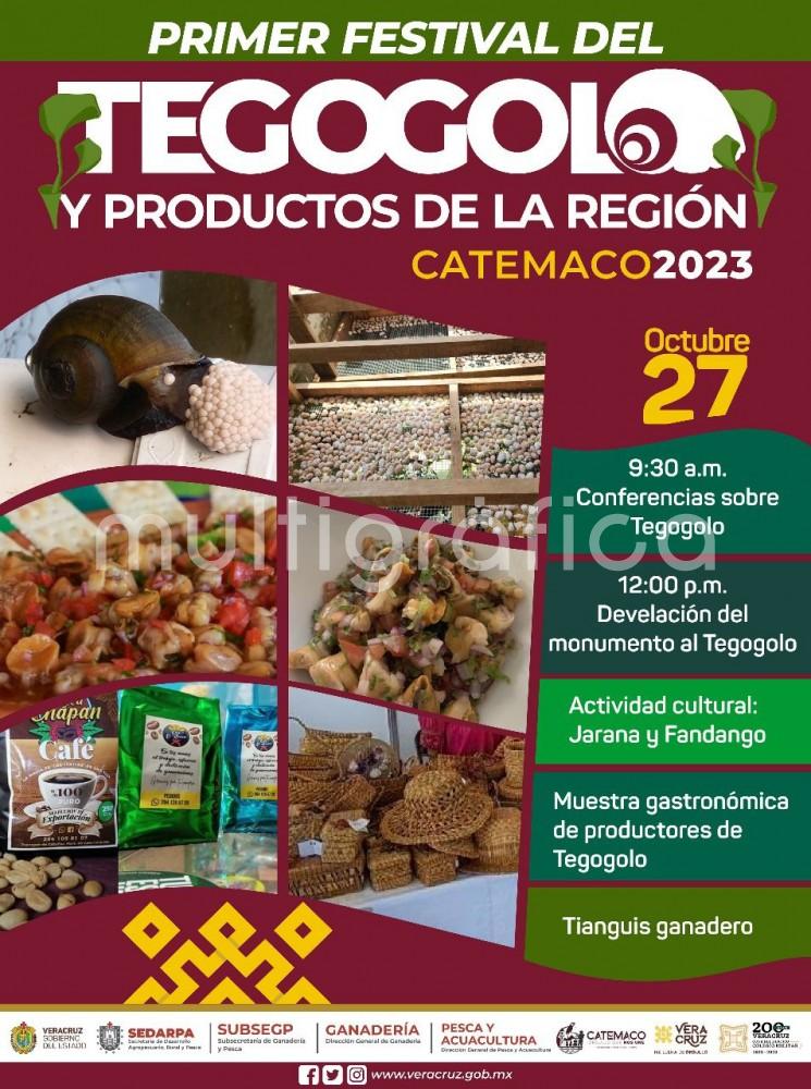 Catemaco invita este viernes 27 de octubre al Primer Festival del Tegogolo y productos de la región Catemaco 2023, donde se podrá conocer y degustar de este producto típico de la zona, en sus distintas variedades. 