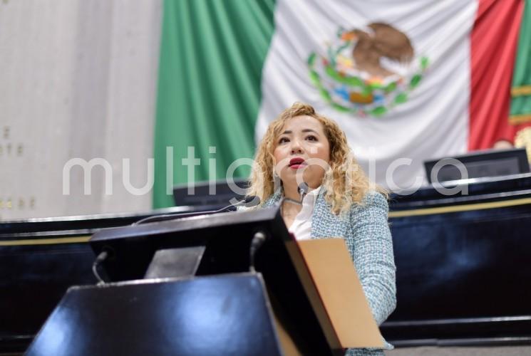 Como una acción solidaria que ha tenido eco entre diputadas de Morena de todo el país en favor de la saxofonista María Elena Ríos, la legisladora Itzel López López se pronunció por que el Congreso de Veracruz exhorte al presidente del Tribunal Superior de Justicia del estado de Oaxaca, Eduardo Pinacho Sánchez, a recusar a la jueza María Teresa Quevedo Sánchez como autoridad competente para conocer el caso y turnar la carpeta de investigación de María Elena a un Tribunal Colegiado, cuyas facultades y características son idóneas para los requerimientos de su caso. 