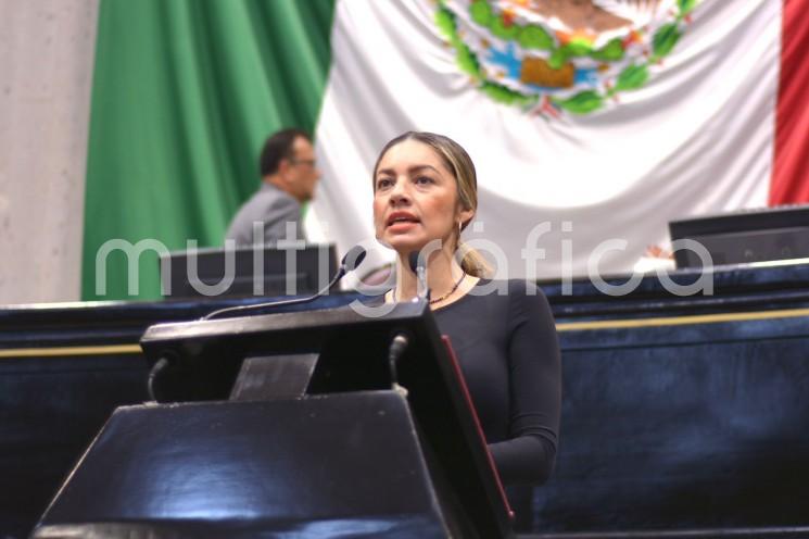 Con el objeto de dar celeridad a la armonización de la Constitución Política local y leyes secundarias con las reformas constitucionales federales, 3 de 3 contra la violencia y de pensiones alimenticias, la diputada Maribel Ramírez Topete hizo un llamado a las Comisiones Permanentes de la LXVI Legislatura para trabajar en unidad y avalar las iniciativas presentadas en la materia. 