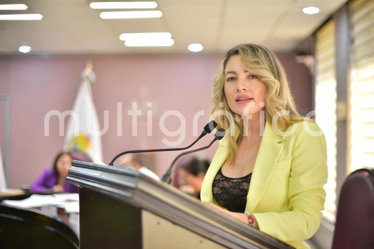 En la Segunda Sesión Ordinaria del Primer Receso del Tercer Año de Ejercicio Constitucional, la diputada Maribel Ramírez Topete propuso la creación de un Registro Público Digital que concentre la información de todos los Institutos Municipales de la Mujer en Veracruz, mediante una actualización a la Ley Orgánica del Municipio Libre.