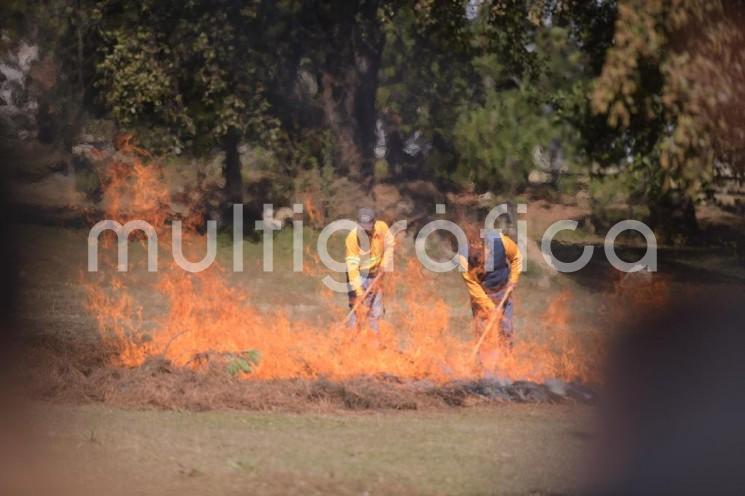  Durante el periodo comprendido entre el 15 de marzo y 14 de agosto, quedan prohibidas las quemas agrícolas que incumplan los protocolos de seguridad, mediante decreto publicado en la Gaceta Oficial del Estado y a fin de prevenir incendios de bosques, selvas y pastizales.