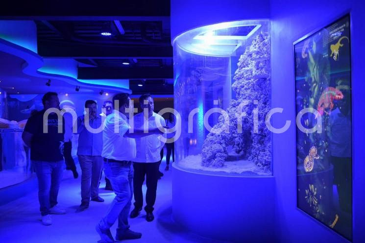 En la estrategia de ampliación y modernización del Aquarium del Puerto de Veracruz destaca el área que exhibirá más de 44 nuevas especies, entre medusas, erizos y peces bioluminiscentes, con zonas de contacto para que el público disfrute una experiencia cercana en medio de la diversidad marítima.