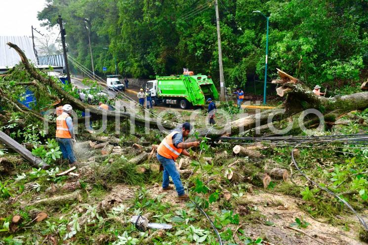  Derivado de las lluvias intensas asociadas a la tormenta tropical Alberto, personal de la Dirección de Protección Civil atendió diversos reportes ciudadanos de emergencia por anegamientos en vialidades, viviendas, un deslizamiento de tierra y la caída de árboles.