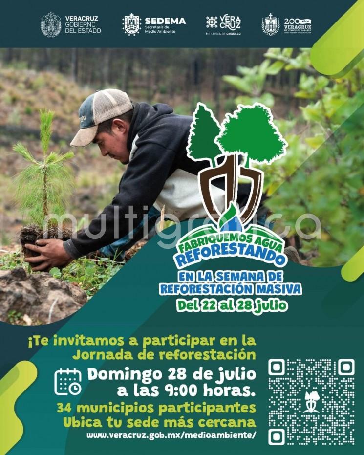 Del 22 al 28 de julio, el Gobierno de Veracruz celebra la Semana de Reforestación Masiva en la que otros 723 mil 827 ejemplares abarcarán 804.2 hectáreas, labor en la que participan municipios, silvicultores y sociedad civil organizada a fin de conservar los ecosistemas y contrarrestar los efectos del cambio climático.