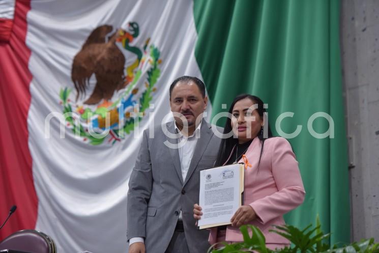 El reconocimiento pleno para que las personas con discapacidad tengan derecho a la movilidad con la mayor independencia posible, seguridad en los espacios públicos y facilidades para el acceso y desplazamiento libres de obstáculos en la vía pública, es el contenido de la Iniciativa presentada por la diputada Janix Liliana Castro Muñoz.