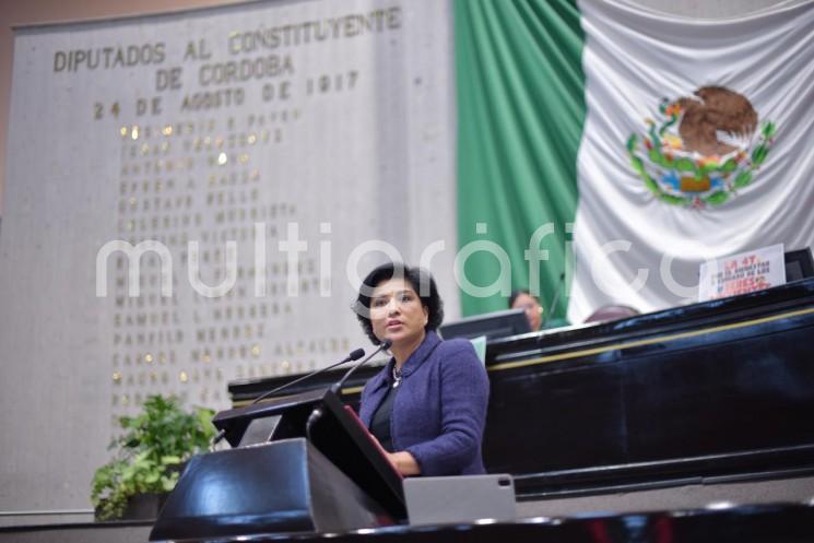 Por unanimidad, el Pleno de la LXVII Legislatura del estado de Veracruz aprobó la minuta para la protección de los animales, remitida por la Cámara de Senadores del Congreso de la Unión.