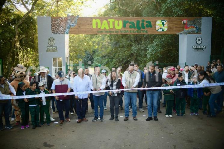 Esta mañana, el gobernador Cuitláhuac García Jiménez, inauguró Naturalia Santuario de Vida Silvestre, proyecto sin precedentes en el sureste del país Le acompañaron su gabinete, el alcalde de Xalapa Ricardo Ahued Bardahuil, representantes del sector empresarial y ciudadanía.

