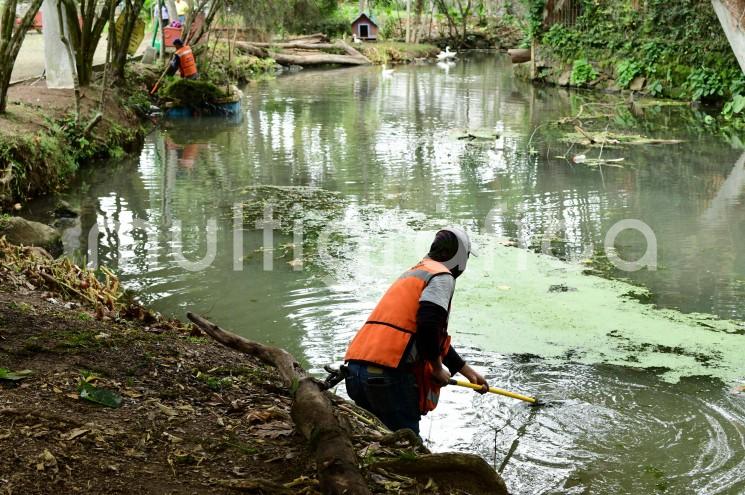 Personal de la Dirección de Medio Ambiente realiza labores de limpieza en el Parque de la Señoría, en el fraccionamiento Las Ánimas.