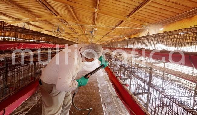 La Secretaría de Agricultura y Desarrollo Rural (Agricultura), a través del Servicio Nacional de Sanidad, Inocuidad y Calidad Agroalimentaria (Senasica), confirmó la detección del virus de influenza aviar AH7N3 en una granja comercial ubicada en el municipio de Marín, Nuevo León, el cual es diferente al que está afectando a granjas avícolas en otros países de América del Norte y no representa ningún riesgo para el consumo de pollo y huevo.